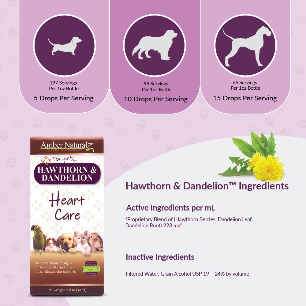 amber-naturalz-hawthorn-dandelion-heart--4.jpg