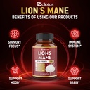 zolotus-11-in-1-lions-mane-mushroom-caps-5.jpg