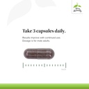 terry-naturally-hrg80-red-ginseng-male-p-4.jpg