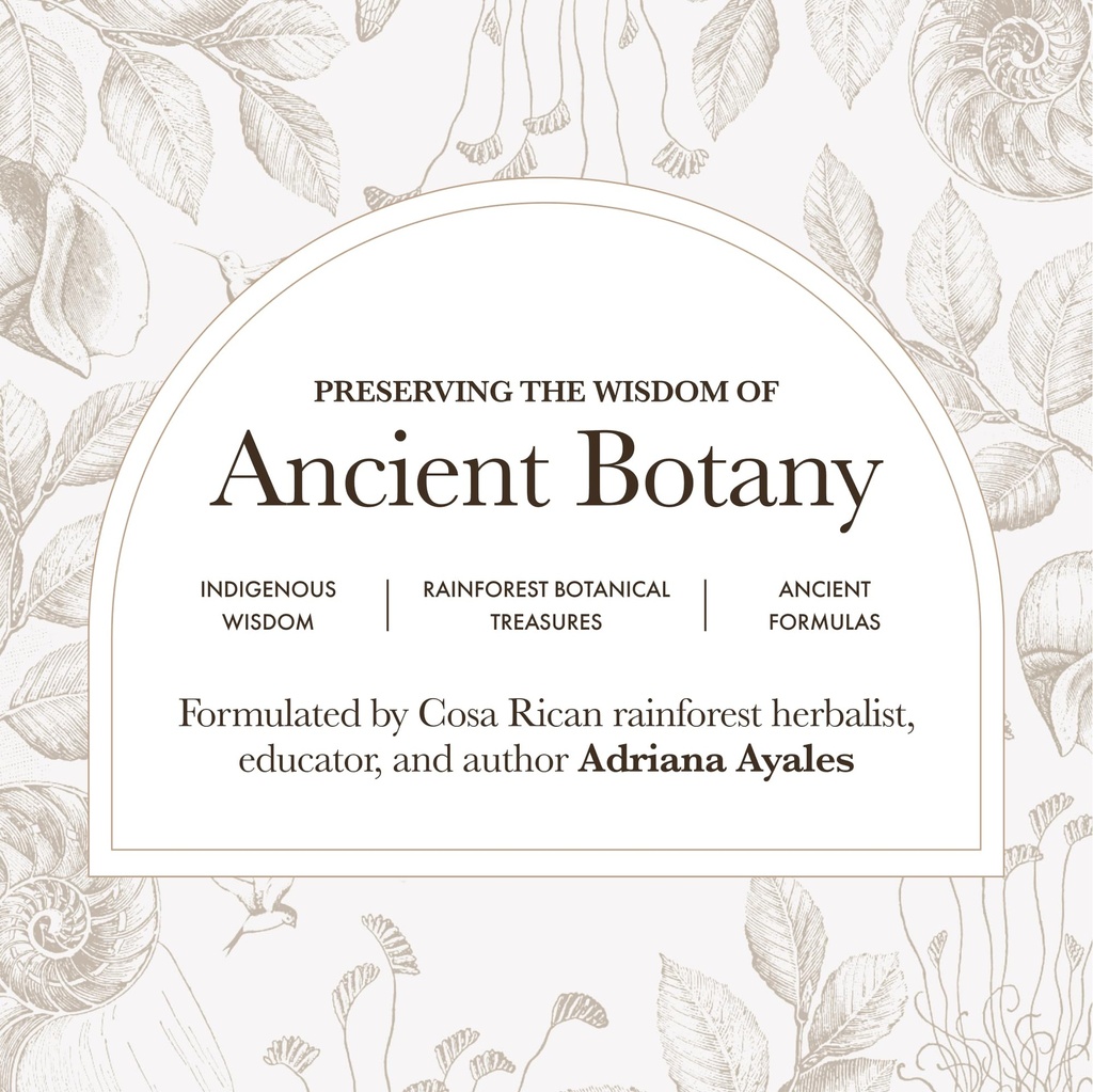 anima-mundi-apothecary-the-mind-energizi-4.jpg