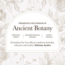 anima-mundi-apothecary-the-mind-energizi-4.jpg