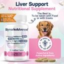 liver-health-supplement-for-large-dogs-m-2.jpg