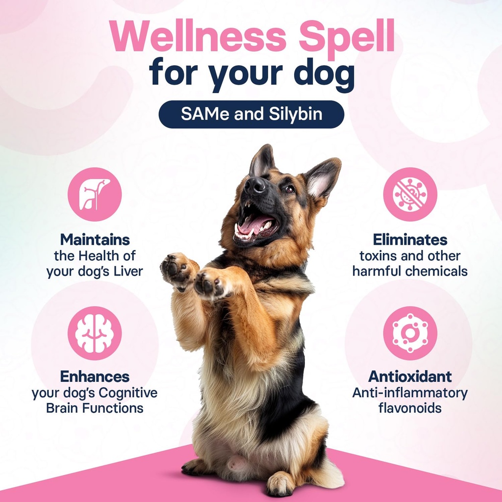liver-health-supplement-for-large-dogs-m-6.jpg