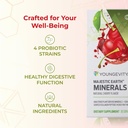 youngevity-majestic-earth-mineral-stx-pl-5.jpg