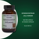 barlowe-s-herbal-elixirs-sphenocentrum-j-3.jpg