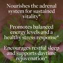kokora-regenerative-adrenal-support-main-4.jpg