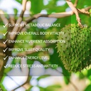 soursop-natural-drops-soursop-bitters-li-6.jpg