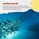 barleans-cod-liver-oil-liquid-supplement-4.jpg