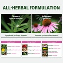 cleavers-herb-extract-lymphatic-drainage-4.jpg