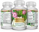actif-menopause-advanced-support-with-20-5.jpg