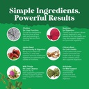 bundle-of-milk-thistle-liver-support-sup-6.jpg