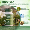 rhodiola-rosea-extract-500mg-adaptogen-f-4.jpg