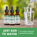 nutramedix-nutra-brt-liquid-herbal-suppl-5.jpg