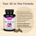 dragon-herbs-super-adaptogen-all-natural-3.jpg