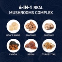 mushrooms-liquid-drops-complex-lions-man-3.jpg