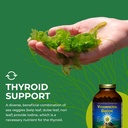healthforce-superfoods-vitamineral-green-6.jpg