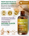 4-oz-ginger-root-extract-liquid-drops-st-4.jpg