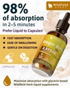 4-oz-ginger-root-extract-liquid-drops-st-6.jpg