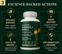 supplement-400mg-natural-adaptogen-for-s-4.jpg
