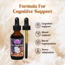 dragon-herbs-lion-s-mane-drops-mushroom--3.jpg