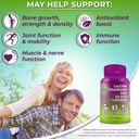 vegan-bone-immune-support-bundle---lipos-6.jpg