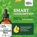 wild-organic-cryptolepis-tincture-herbal-4.jpg