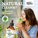 wild-organic-cryptolepis-tincture-herbal-2.jpg