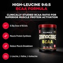 allmax-aminocore-bcaa-powder-for-workout-2.jpg