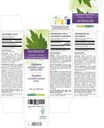 naturalma-motherwort-leonurus-cardiaca-h-2.jpg