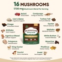 venture-pal-mushroom-powder-electrolyte--6.jpg