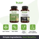 b-leaf-nature-moringa-and-quercetin-bund-3.jpg