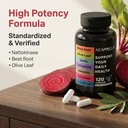 acappella-moringa-capsules-with-beet-roo-3.jpg