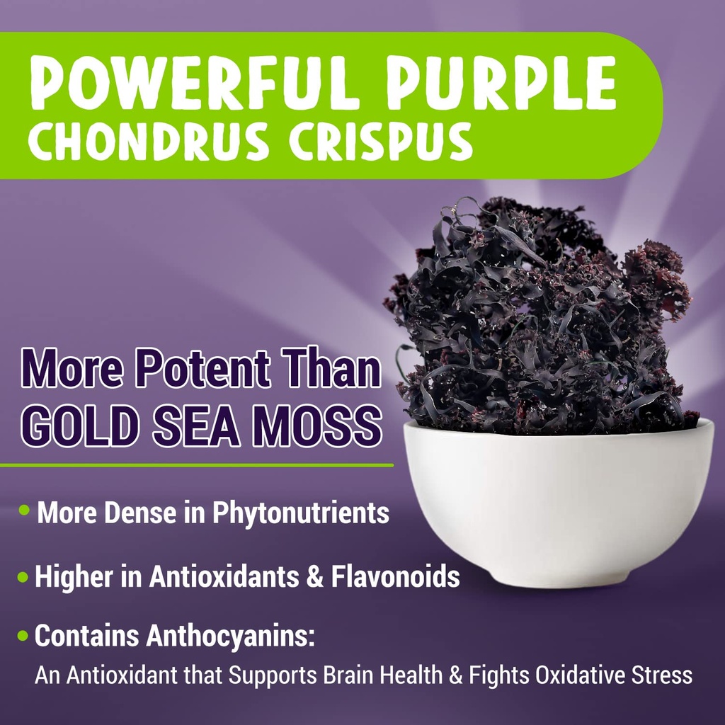 maju-s-powerful-purple-sea-moss-capsules-2.jpg