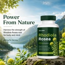 soluma-rhodiola-rosea-400mg-capsules-ada-2.jpg