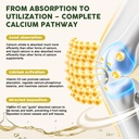 calcium-citrate-liquid-drops-calcium-cit-4.jpg