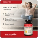 naturewise-vitamin-d3-2000iu-360-count-a-3.jpg