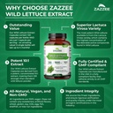 zazzee-extra-strength-wild-lettuce-10-1--5.jpg