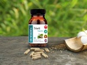 dr-wakde-s-trivrit-capsules-nishottar-60-3.jpg
