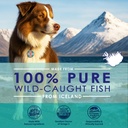 liquid-fish-oil-for-dogs-with-omega-3-6--2.jpg