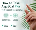 algaecal-bundle-calcium-supplement-for-w-6.jpg