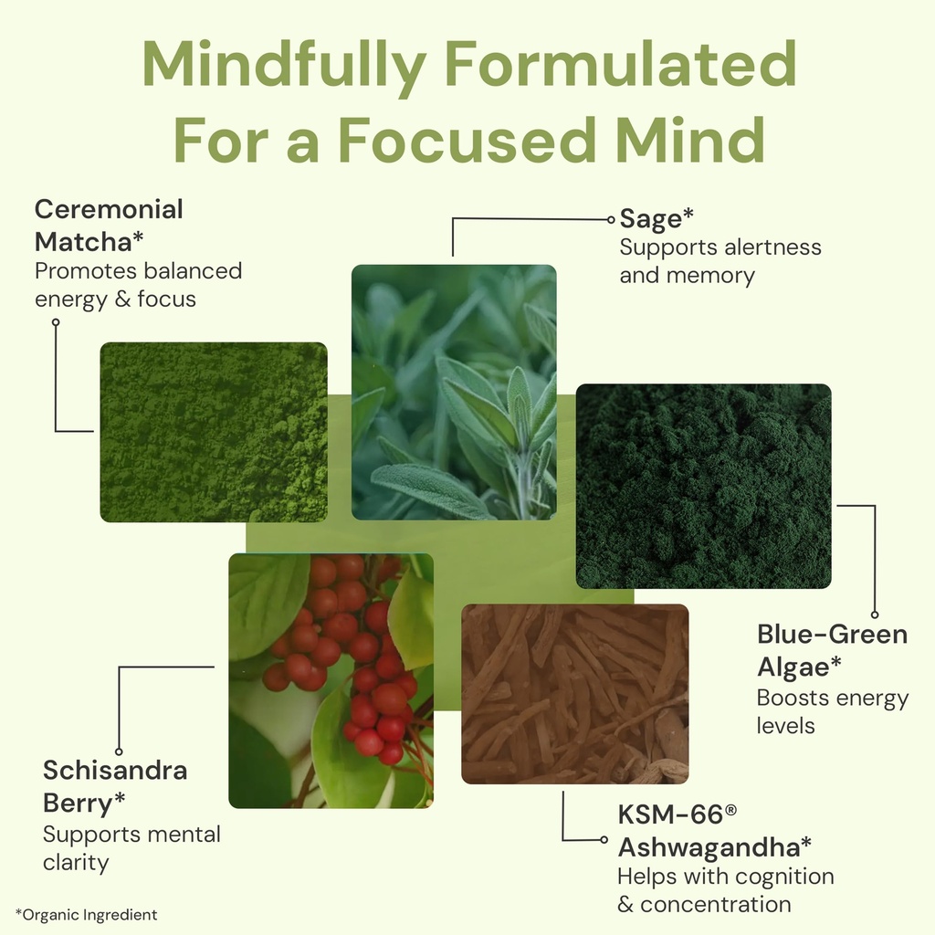 ion-intelligence-of-nature-focused-mind--4.jpg