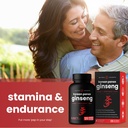 nutrachamps-energy-metabolic-support-gin-6.jpg