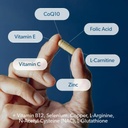 male-fertility-supplement-doctor-formula-6.jpg