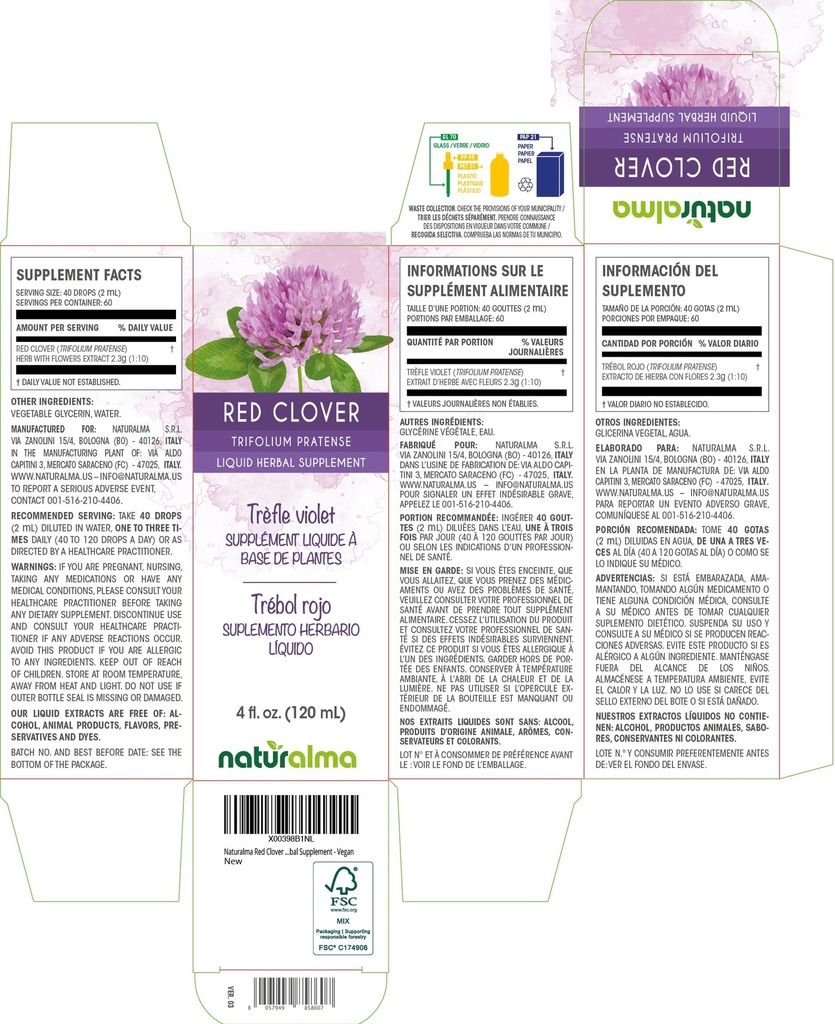 naturalma-red-clover-trifolium-pratense--2.jpg