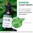 nutramedix-nutra-brl-liquid-herbal-suppl-5.jpg