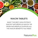 naturesplus-niacin-100-mg-90-vegetarian--3.jpg