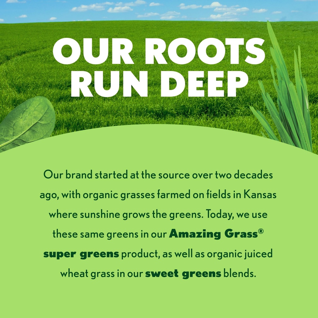 amazing-grass-super-greens-powder-energy-5.jpg