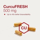 protocol-for-life-balance-curcufresh---4-4.jpg