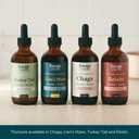 forage-hyperfoods--alcohol-free-canadian-6.jpg