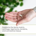 youngevity-ultimate-gluco-gel-for-bones--4.jpg